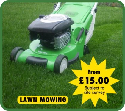 Have Your Lawn Mowed